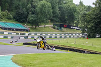 Lower Group Yellow Bikes